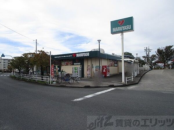 画像26:マルヤス　玉川店 徒歩17分。 1310m