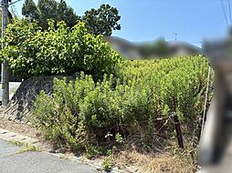 物件画像 神戸市西区北別府 売土地