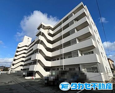 外観:外観 外観:外観