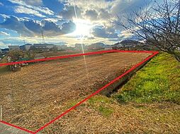 物件画像 笠岡市西大島新田　売土地