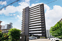 6 / 18