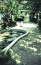 千川親水公園（102m）