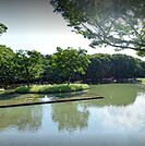 都立代々木公園西参道口（1056m）