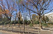 西戸山公園（544m）