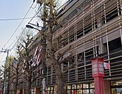 Ozeki オオゼキ 上町店（502m）