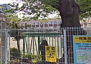 新宿区立市谷小学校（240m）
