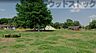 周辺：都立高井戸公園 徒歩15分。 1180m