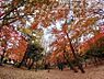 周辺：石神井公園 記念庭園 徒歩9分。 710m
