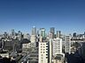 その他：-眺望-高層階ならではの開放感ある眺望。都心を感じる景色です。