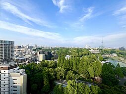 北側眺望です。前に建物がなく、眺望良好です。
