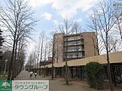 国立東京外国語大学 徒歩57分。大学・短大 4510m