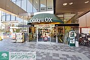 Odakyu OX 595m