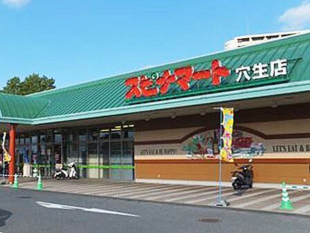 スピナ穴生店 スピナマート穴生店 1100m
