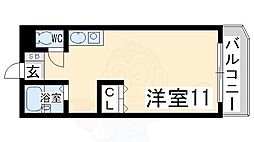 リヴネスト 1階/-