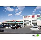スーパー「オークワ和歌山中之島店まで1008m」