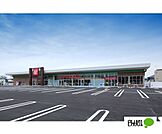 スーパー「コープ中之島店まで772m」