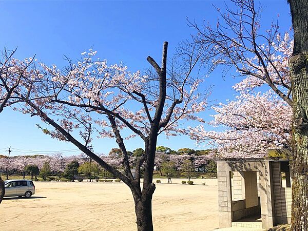 清友ビルA棟 A305｜大分県大分市大津町１丁目(賃貸アパート2LDK・3階・55.87㎡)の写真 その23