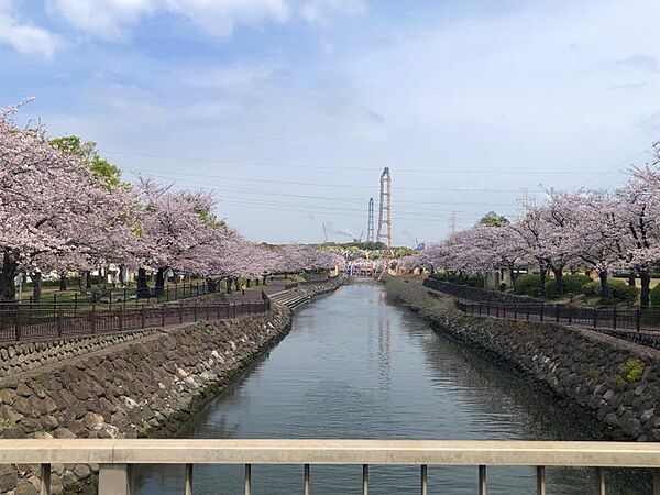 ルモンド大分2 205｜大分県大分市東浜１丁目(賃貸アパート2DK・2階・44.00㎡)の写真 その18