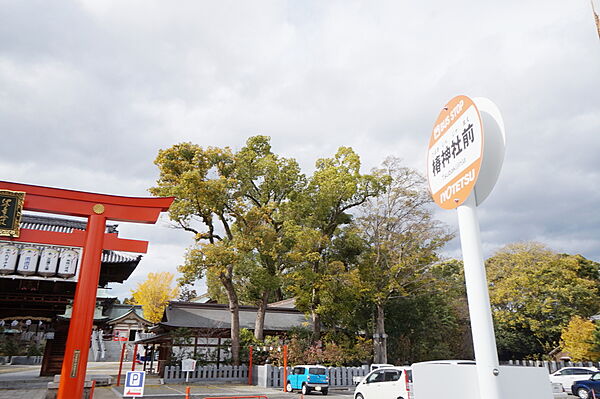 画像29:椿神社前 バス停