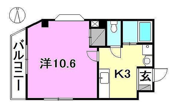 土井ビル 302 号室｜愛媛県松山市平和通2丁目(賃貸マンション1K・3階・30.53㎡)の写真 その2