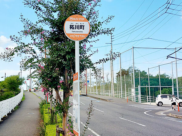 画像30:拓川町 バス停