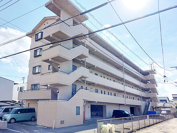 フェルタ高岡 203 号室｜愛媛県松山市高岡町(賃貸マンション1LDK・2階・40.51㎡)の写真 その1