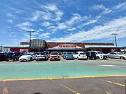マルヨシセンター伊予店