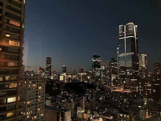 その他 シティタワー麻布十番 24階/-