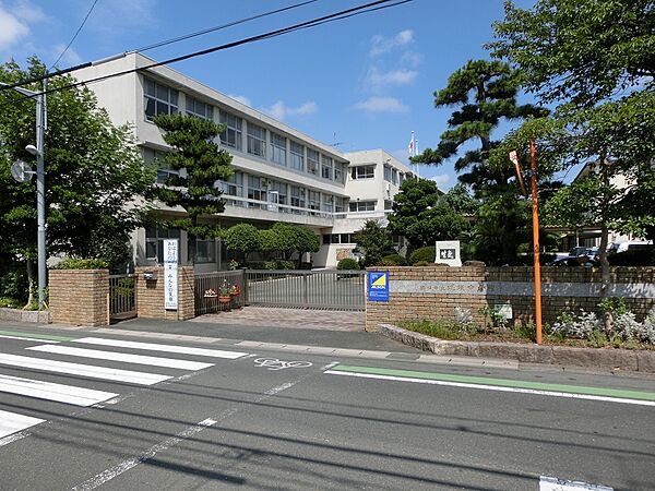 画像17:浜松市立蜆塚中学校（511m）