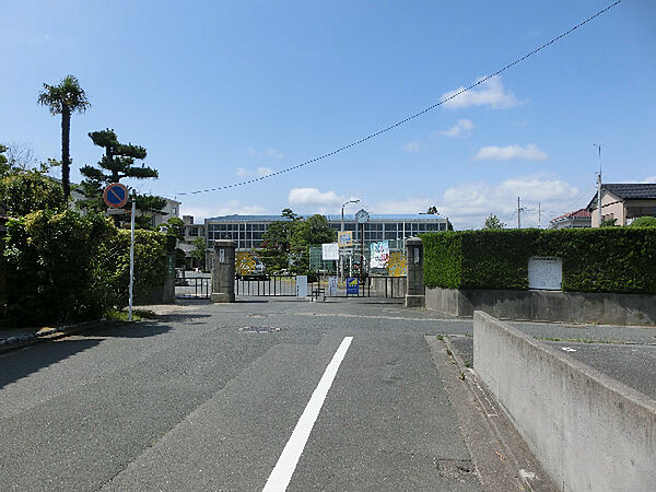 画像15:浜松市立広沢小学校（253m）