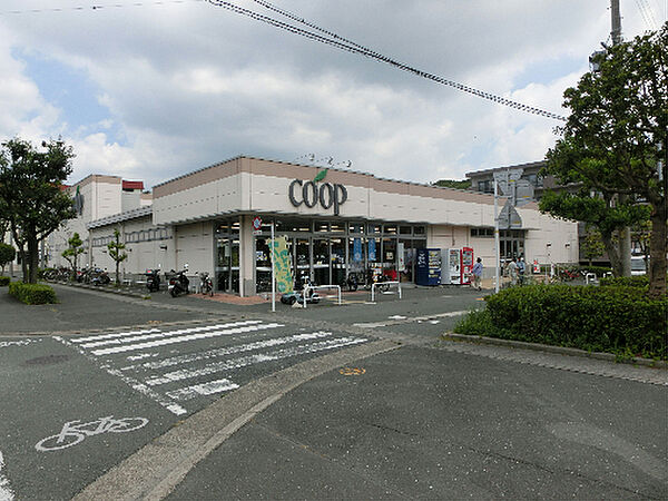 画像12:コープ富塚店（441m）
