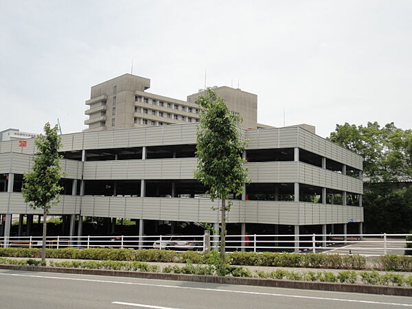 画像19:浜松医科大学（503m）