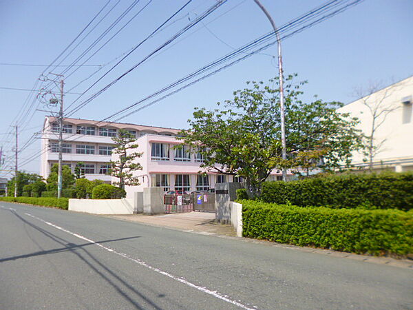 画像16:浜松市立入野小学校（234m）