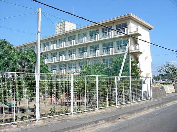 画像24:浜松市立内野小学校（1472m）