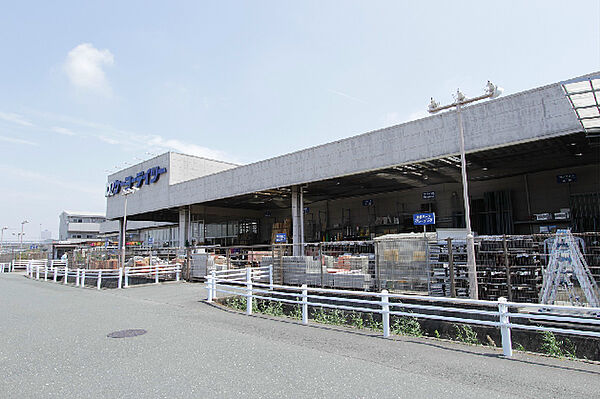 画像18:ケーヨーデイツー 中田島店（1286m）