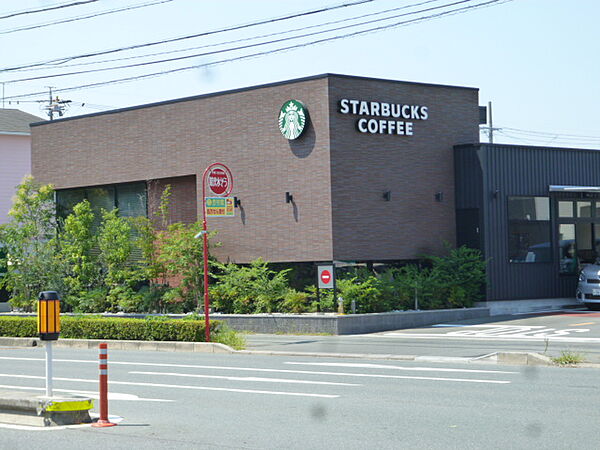 画像21:スターバックスコーヒー浜松新津町店（194m）