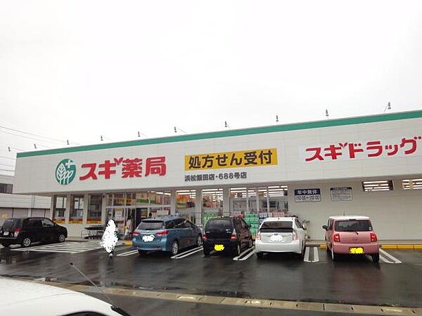画像17:スギ薬局浜松飯田店まで300m