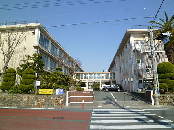 画像18:浜松市立白脇小学校（402m）