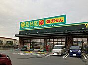 杏林堂ドラッグストア 岩井店（2057m）