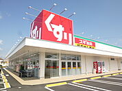 スギ薬局堀越店（763m）