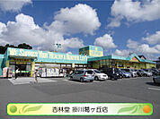 杏林堂薬局 掛川葛ヶ丘店（911m）