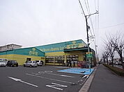 杏林堂　名塚支店（522m）