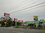 ジップドラッグシーズ 浜北店（334m）