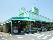 杏林堂ドラッグストア袋井西田店（505m）