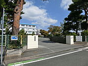 浜松市立城北小学校（528m）