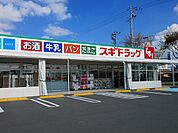 スギ薬局 浜松横須賀店（1403m）