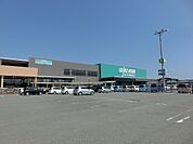 カインズモール浜松雄踏（2609m）