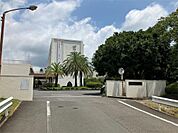 静岡県立掛川工業高校（597m）