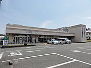 COOP（コープ）しずおか 緑ヶ丘店（863m）