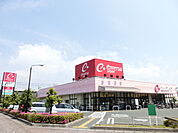 遠鉄ストア向宿店（369m）